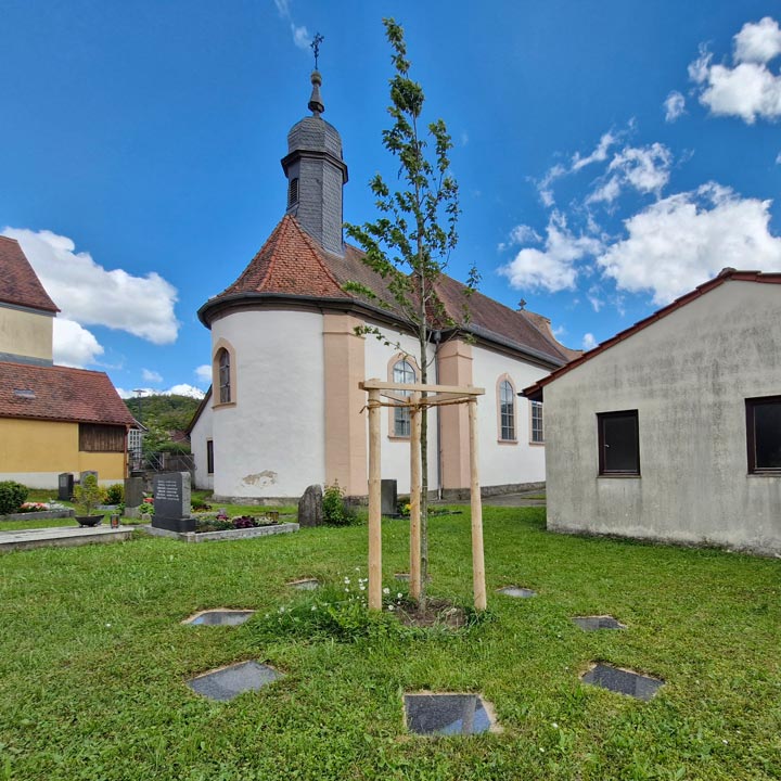 Friedbaum