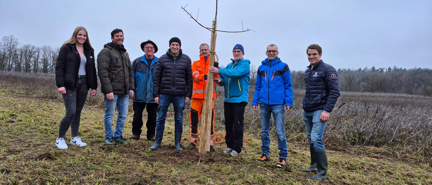 Acht Vertreter des Scheinfelder Stadtrats und Bauhofs stehen gemeinsam um einen neu gepflanzten Baum.