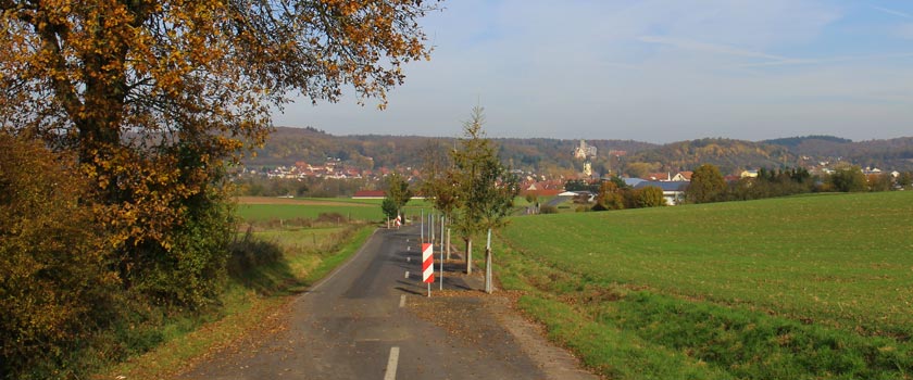 Blick auf die Jahresbaumallee - Ehemalige Straße gesäumt mit den Jahresbäumen