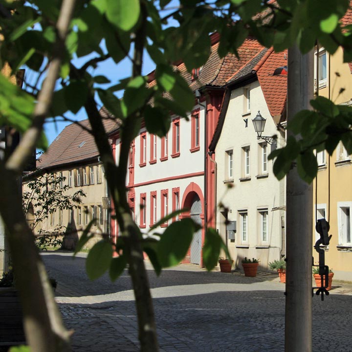 Blick durch das Torportal auf den Schlosspark