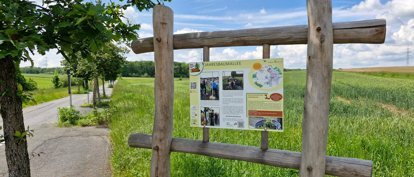 Blick in die Jahresbaumallee