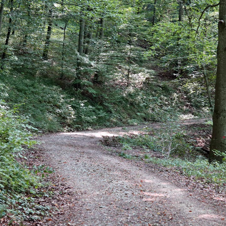 Radweg mit Blick auf Scheinfeld