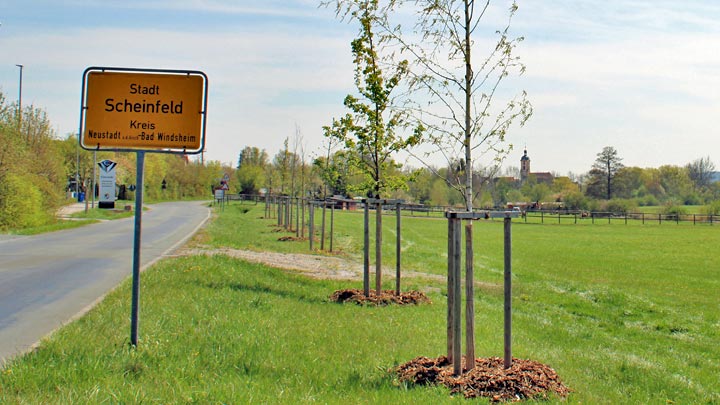 Blick auf ein Teilstück der Geburtenallee