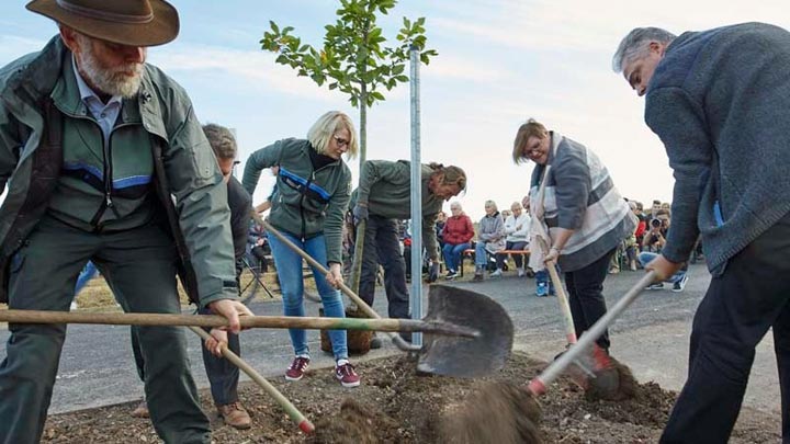 Scheinfelder Holztag 2018