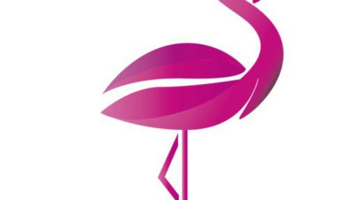 flamingo-bistro-und-kiosk_f