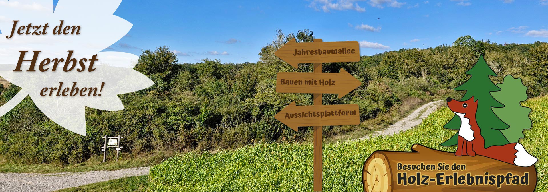 Holz-Erlebnispfad Scheinfeld