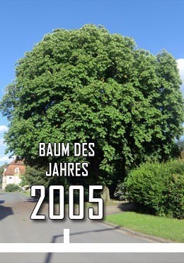 2005