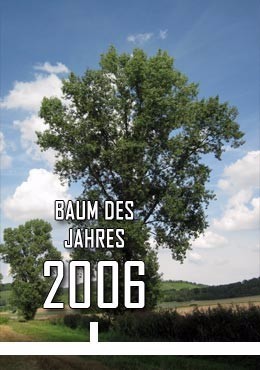 2006