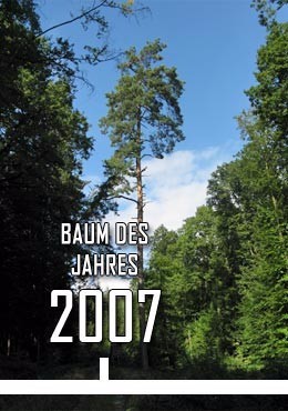 2007