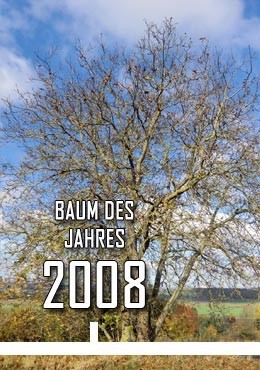 2008
