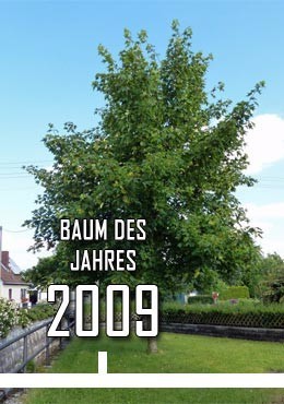 2009