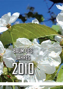 2010