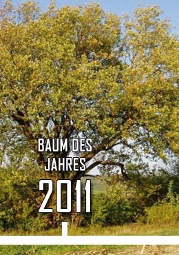 2011