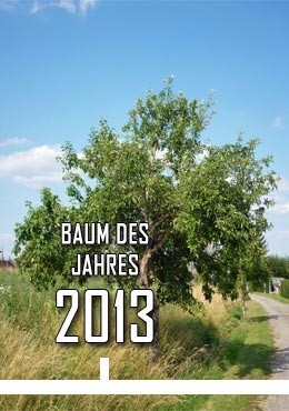 2013