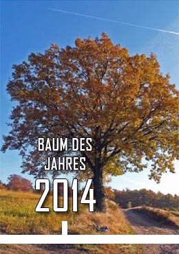 2014