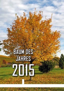 2015