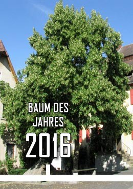 2016