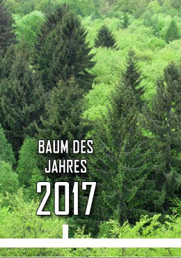 2017
