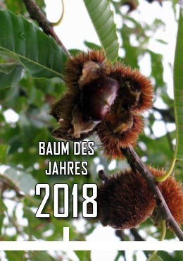 2018