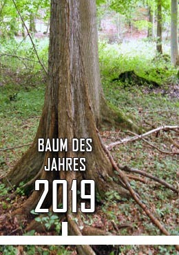 2019