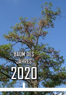 2020