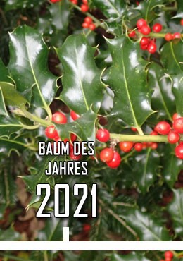 2021