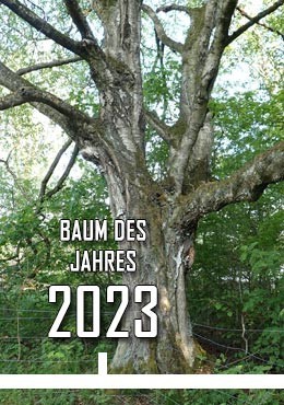 2023