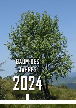 2024