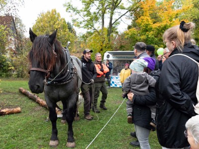 Foto: Fotografie Katzenberger